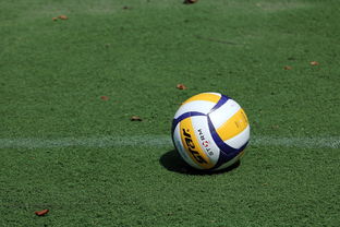 乐鱼网官网进入-女子排球世锦赛中国队逆转强敌夺冠，女子排球世锦赛几年一届